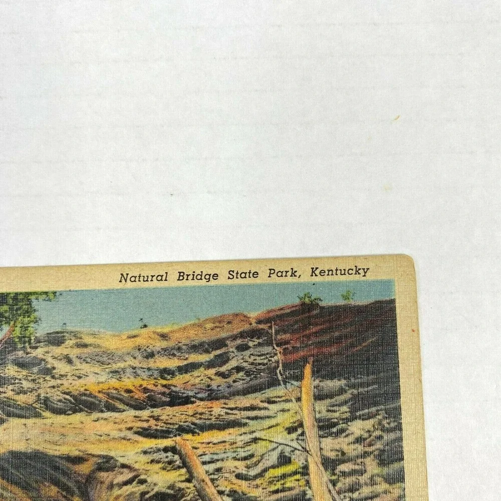 Vintage Postcard Natural‎ Bridge State Park Kentucky Nature Panorama Travel USA